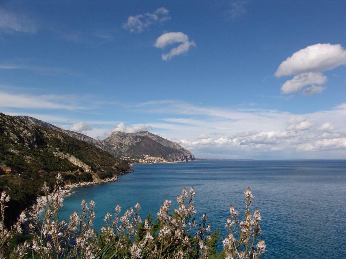 Villa Corrasi Oliena Luxury 外观 照片